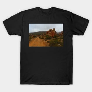 More People of Red Rock City T-Shirt